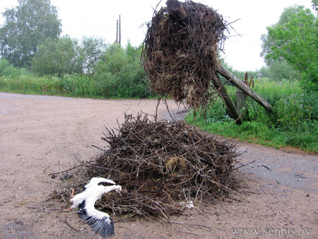 Буслам не месца на вежы