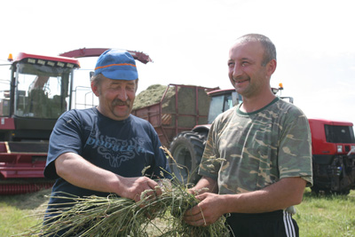 У “Дружбінцы” рыхтуюць па 400 тон сенажу