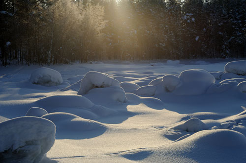 16 студзеня  ў рамках Сусветнага Дня снегу на Сенненшчыне пройдзе сапраўднае свята