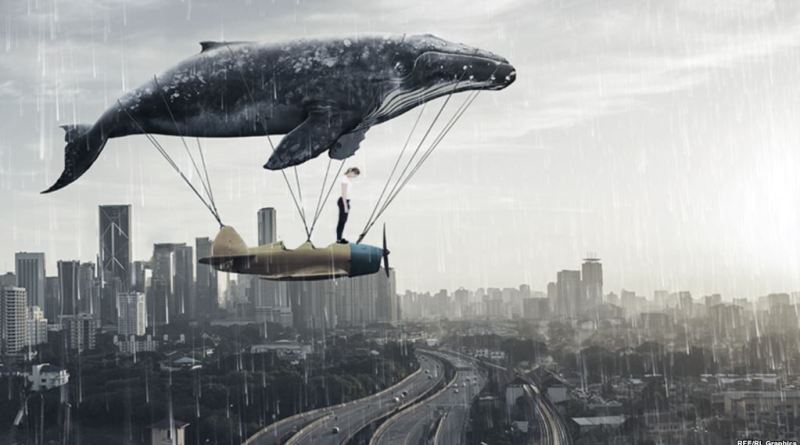 Следователи Сенненского РОСК бьют тревогу: «Синий кит» может приплыть в Сенно