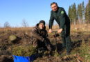 В первый день Недели леса, который ежегодно проводится в Беларуси, в Сенненском лесничестве завершили посадку молодых саженцев В первый день Недели леса, который ежегодно проводится в Беларуси, в Сенненском лесничестве завершили посадку молодых саженцев