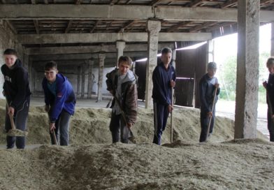 В Витебской опытной мелиоративной станции ведут обмолот семенников злаковых трав В Витебской опытной мелиоративной станции ведут обмолот семенников злаковых трав
