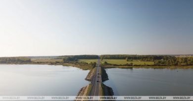 Единый день безопасности дорожного движения пройдет в Беларуси 24 июня
