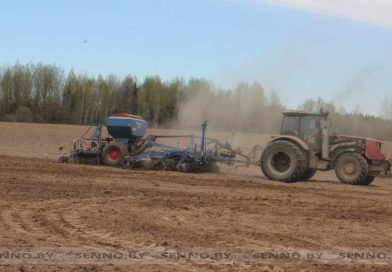 В ОАО «Беленево» сейчас ведется практически весь комплекс весенне-полевых работ