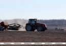 Посадку картофеля в Беларуси выполнили более чем на половину