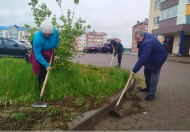 Жильцы многоквартирного дома по переулку Космонавтов в г. Сенно благоустроили дворовую территорию