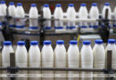 В январе — июне в Беларуси произвели сельхозпродукции на Br12,4 млрд