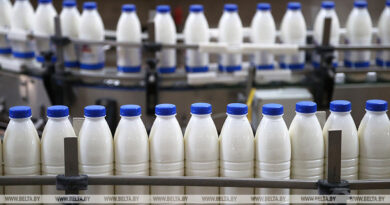 В январе — июне в Беларуси произвели сельхозпродукции на Br12,4 млрд