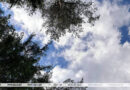 До +29°С и грозу обещают синоптики сегодня