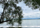 Грозы и до +28°С. Какая погода будет 21 июля в Беларуси