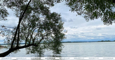 Грозы и до +28°С. Какая погода будет 21 июля в Беларуси