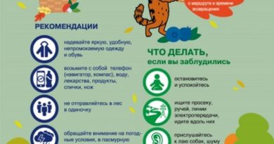 Чтобы лес не стал ловушкой