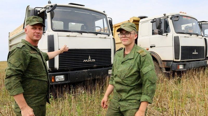 В Сенненском районе на уборке урожая задействованы военные
