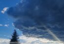 До +25°С ожидается сегодня в Беларуси
