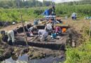 Асаблівае месца ў Сенненскім гісторыка-краязнаўчым музеі займаюць знаходкі з комплекса паселішчаў каменнага і бронзавага вякоў Крывінскага тарфяніку