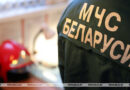 Более трех часов тушили лесной пожар на Сенненщине