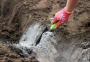 Огород без хлопот: древесная зола – отличное природное удобрение