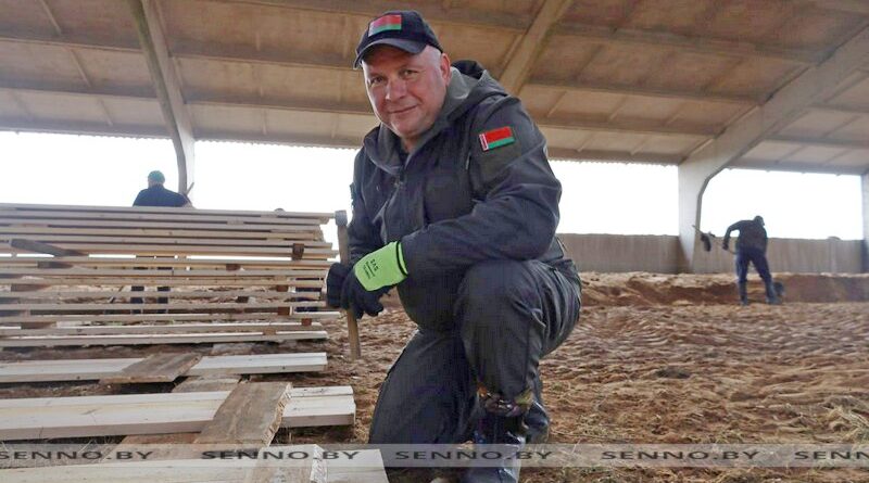 На Сенненщине проходит республиканский субботник