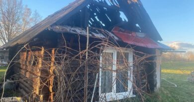 В д. Боровики Немойтовского сельсовета горела надворная постройка