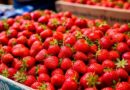 Огород без хлопот: что нужно знать о пересадке клубники