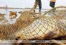 10 особей карася золотого: в Сенненском районе браконьеры нарыбачили на статью Уголовного кодекса