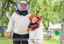 Более 50 пчелиных ульев насчитывает пасека жителя д. Малая Белица Евгения Бандаревича