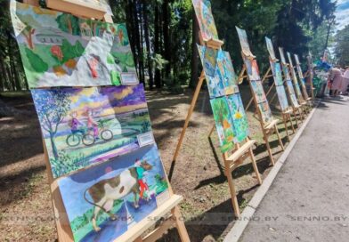 Фейерверки эмоций как всегда собирают тематические площадки