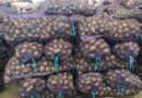 Огород без хлопот: как хранить картофель