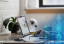 Белстат разработал систему показателей для оценки развития креативной экономики