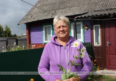 История добрых дел Анны Януковой