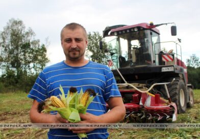 На Сенненщине стартовала кукурузная страда