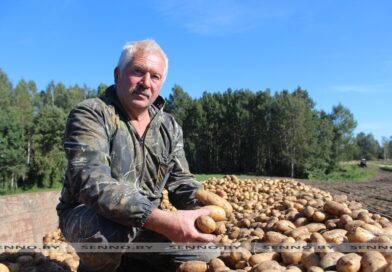 «Бульба» в приоритете