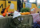 Осенняя ярмарка пройдет в Богушевске 26 сентября