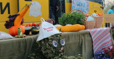 Осенняя ярмарка пройдет в Богушевске 26 сентября Осенняя ярмарка пройдет в Богушевске 26 сентября